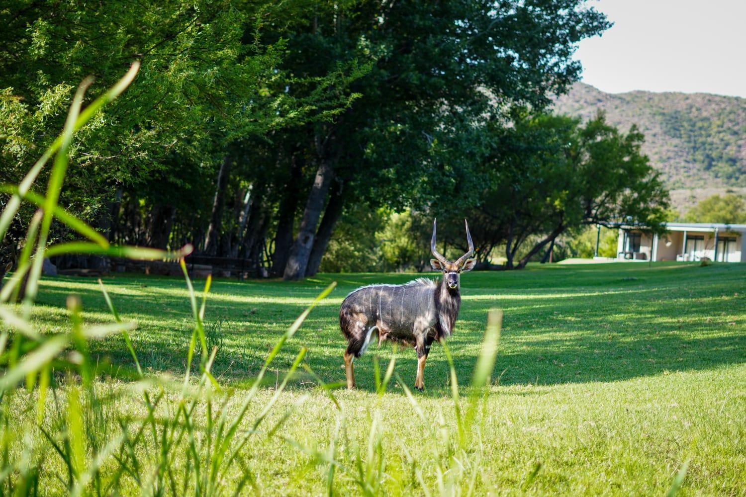 Wildehondekloof Game Lodge Matjiesrivier  Экстерьер фото