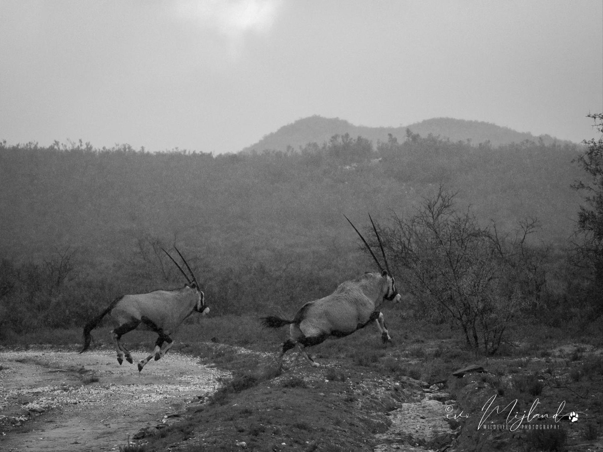 Wildehondekloof Game Lodge Matjiesrivier  Экстерьер фото