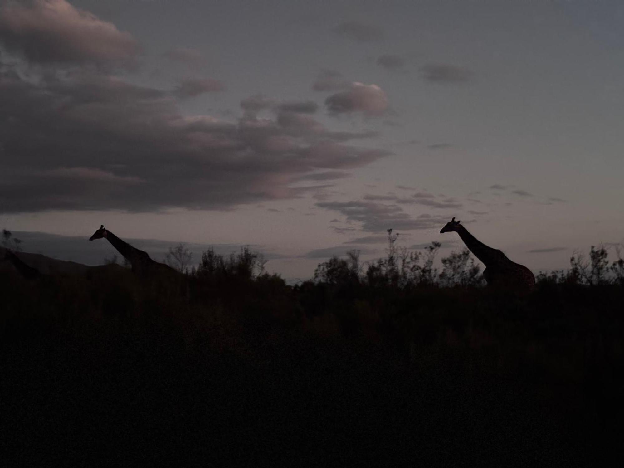 Wildehondekloof Game Lodge Matjiesrivier  Экстерьер фото