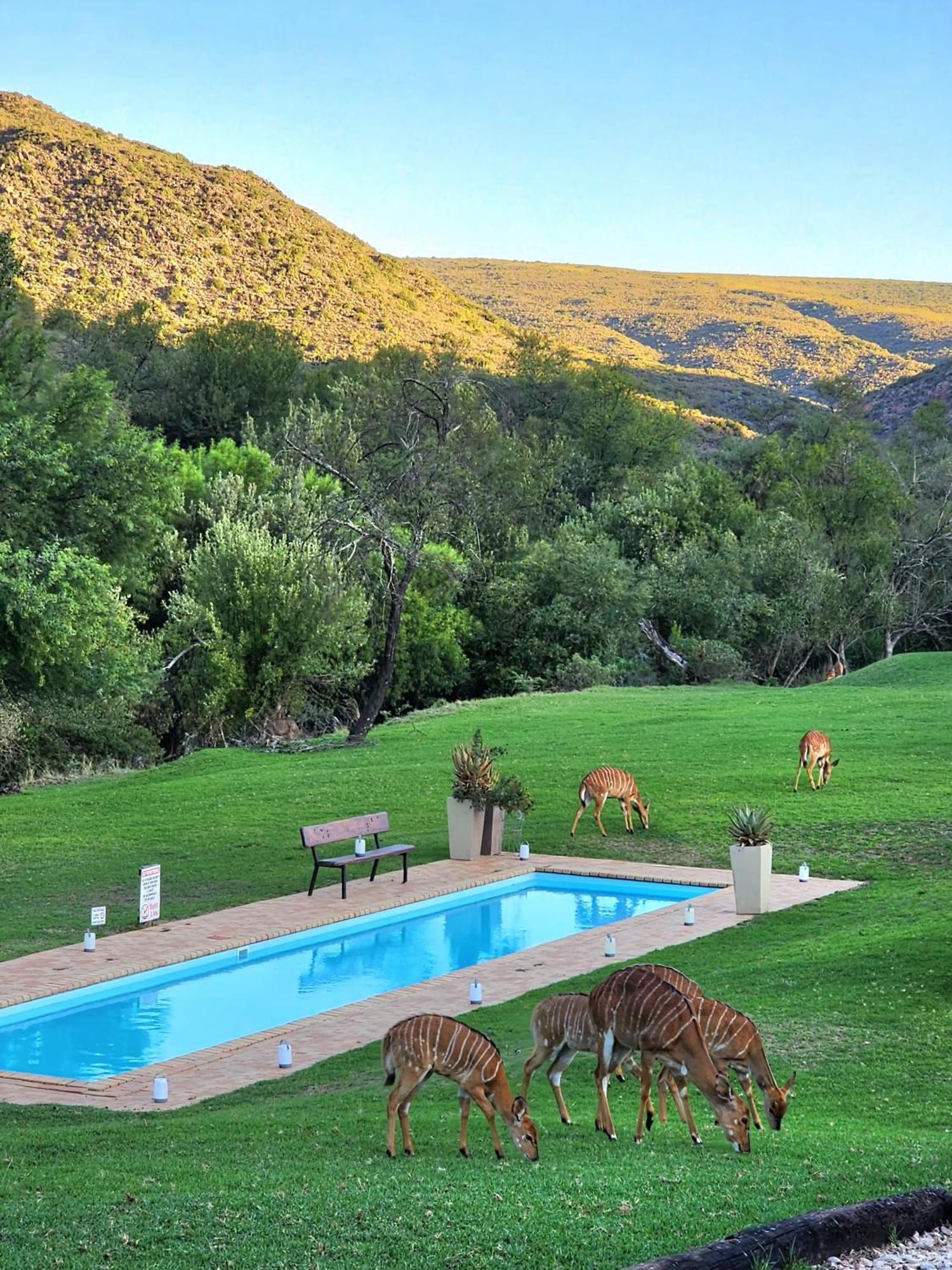 Wildehondekloof Game Lodge Matjiesrivier  Экстерьер фото